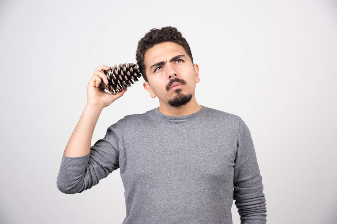 A man holding a pine cone to his head with a thoughtful expression, humorously symbolizing the search for the best hair loss concealer. instant hair fix, scalp concealer men, natural hair fiber, patchy baldness cover, men’s hair care solution 